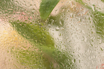 Soft focus pink flower, green leaf through glass with wet water drops. Abstract nature blur beige...