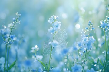Delicate blue flowers adorned with morning dew, a spiderweb glistening in the sunlight.