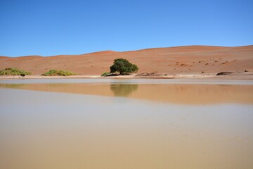 Wasser im Sossusvlei
