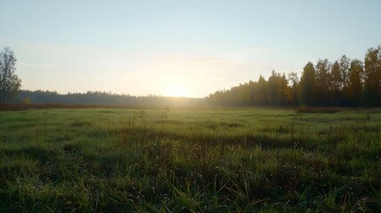 Obraz premium Misty Sunrise Over Dewy Meadow