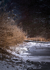 water flowing in the river