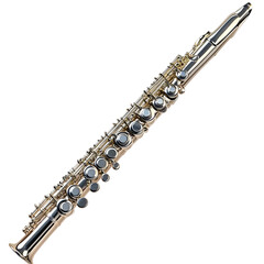 Obraz premium flute on transparent background