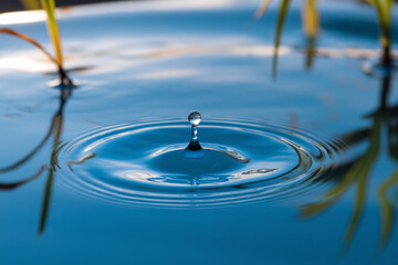 Crystal Clear Water Droplet Creating Ripples - World Water Day Concept