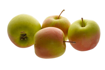 Apfel,  Malus domestica,  Delbar