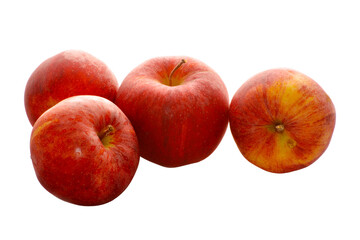 Apfel,  Malus domestica, Gala