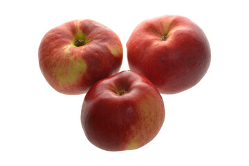 Apfel,  Malus domestica, Peasgoods Sondergleichen