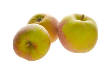 Apfel,  Malus domestica,  Boskoop