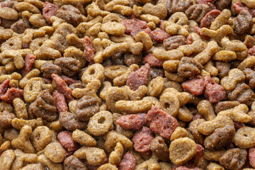 Dry dog food forming a textured background