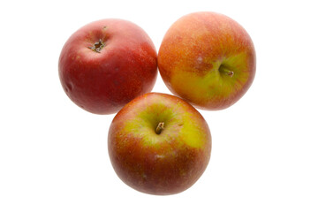 Apfel,  Malus domestica,  Cox Orange