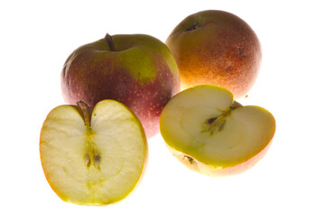 Apfel,  Malus domestica,  Boskoop