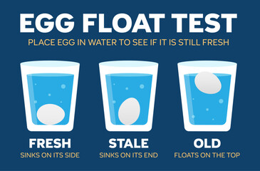 Egg float test showing fresh, stale and old eggs in glasses of water. Vector illustration infographic.