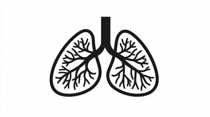 Medical Representation of Human Lungs with Bronchia