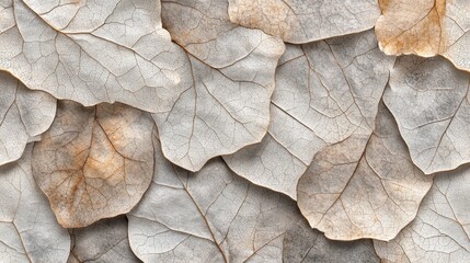 Dry leaf texture showcasing organic surface details with cracked veins, creating a natural autumn background. The earthy aged design highlights intricate details of nature's transformation