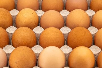 Close-up of brown eggs in a carton tray
