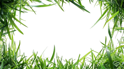 Square grass frame with lush green blades isolated on transparent background for eco-friendly nature-themed designs and landscape projects