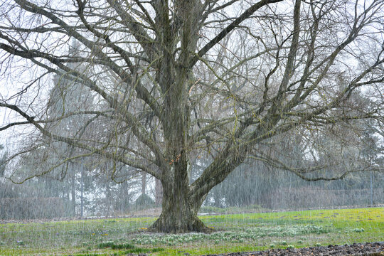 Wetter, Witterung, Graupelschauer