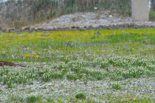 Wetter, Witterung, Graupel
