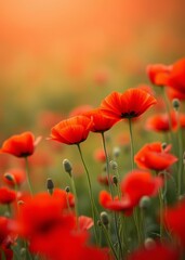 Naklejka premium Vibrant red poppies in field remembrance day backdrop natural floral scenery with bokeh effect bokeh red bokeh abstract background glow design light texture effect sparkle