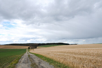 Fototapeta premium Feldlandschaft, Landschaft, Frühjahr