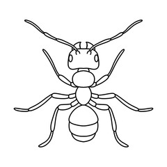 ant outline icon vector illustration isolated on white background.