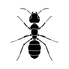 black and white ant icon illustration isolated on white background