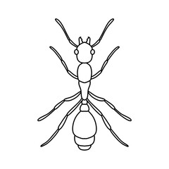 ant outline icon vector illustration isolated on white background.