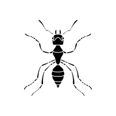 black and white ant icon illustration isolated on white background