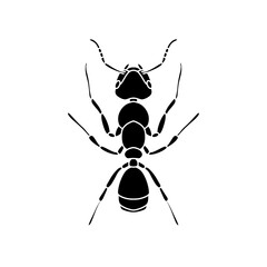 black and white ant icon illustration isolated on white background