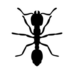 silhouette of an ant vector illustration isolated on white background