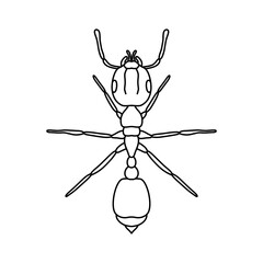 ant outline icon vector illustration isolated on white background.