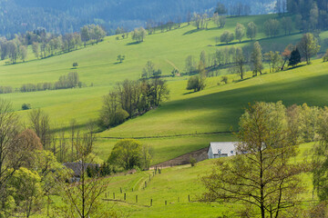 Czech, masyw Śnieżnika - wiosna