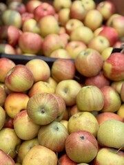 Box filled with fresh natural bio organic red yellow green apples placed on counter in local food market. Close-up