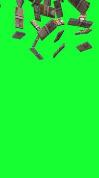 Vertical Qatari Riyal Falling Animation on Green Background