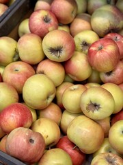 Box filled with fresh natural bio organic red yellow green apples placed on counter in local food market. Close-up