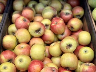 Box filled with fresh natural bio organic red yellow green apples placed on counter in local food market. Close-up