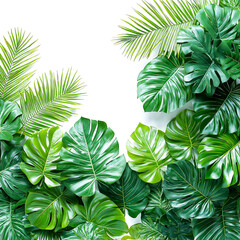 Lush Tropical Leaves: Vibrant Green Foliage Background
