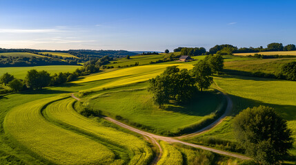 Fototapeta premium Abstract patterns in vibrant spring rapeseed fields from drone view
