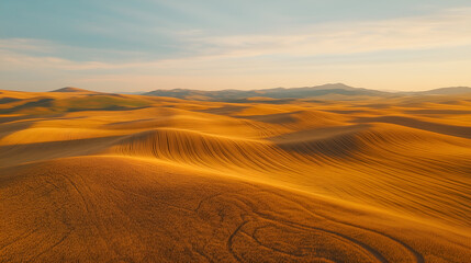 Fototapeta premium Golden wheat fields with abstract irrigation patterns from drone view