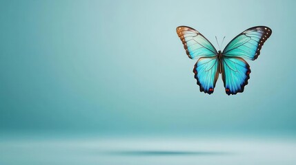 Pixelated Blue Butterfly on Teal Background