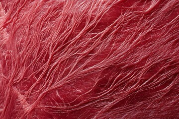 Fototapeta premium Close-up view of the texture of raw red meat