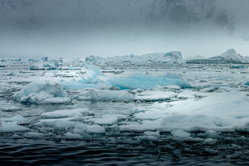 Floating icebergs and the stunning landscape of Paradise Harbour in Antarctica