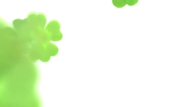 Lucky Irish four-leaf shamrock clover green leaves flying on white background.St. Patrick's Day banner with space for text. Looped holiday animation,4K