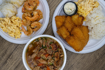Family feast with choices consisting of BBQ chicken noodle ramen soup, white fish katsu, or shrimp curry ready to eat
