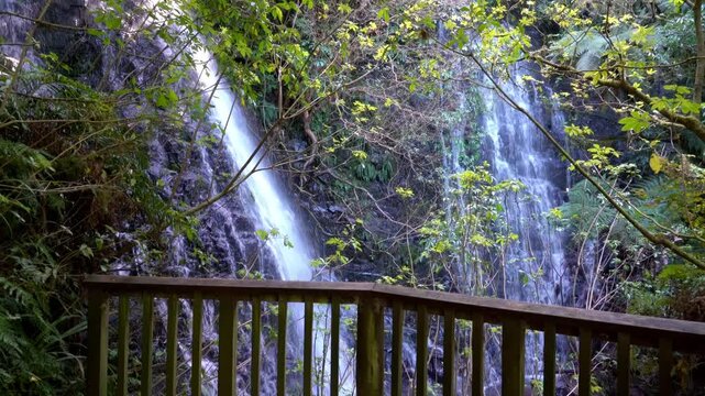 Bara Falls Hidden Behind Lush Forest Plants, Waterfall in Dense Foliage