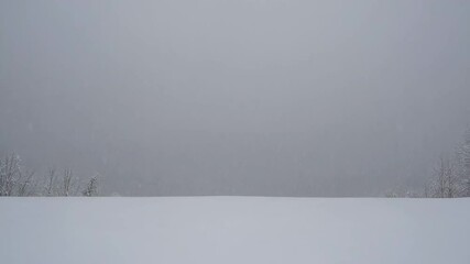 snow-covered landscape with foggy horizon, serene winter scenery. nature tranquility concept - Powered by Adobe