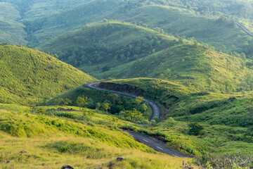 Naklejka premium A winding road meanders through lush green hills, creating a stunning landscape view bathed in soft sunlight.