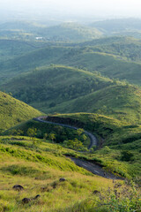 A winding road meanders through lush green hills, creating a stunning landscape view bathed in soft sunlight.
