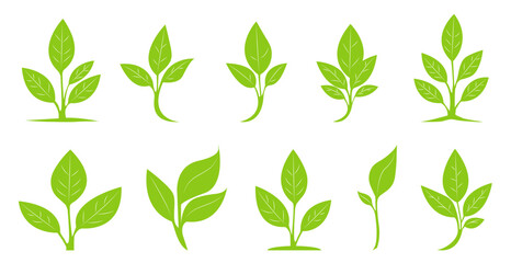 Sprout Logo Set Isolated White background