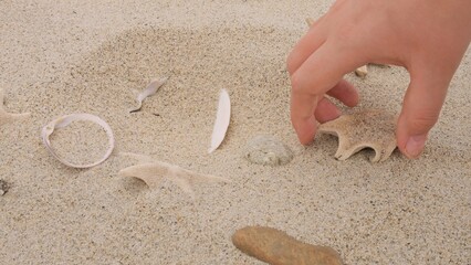 Mens hand picking up starfish from sandy shore capturing essence of curiosity and coastal discovery Serene moment highlights connection to nature on picturesque shore embracing beauty of shore life