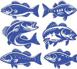 Six stylized blue fish illustrations.
